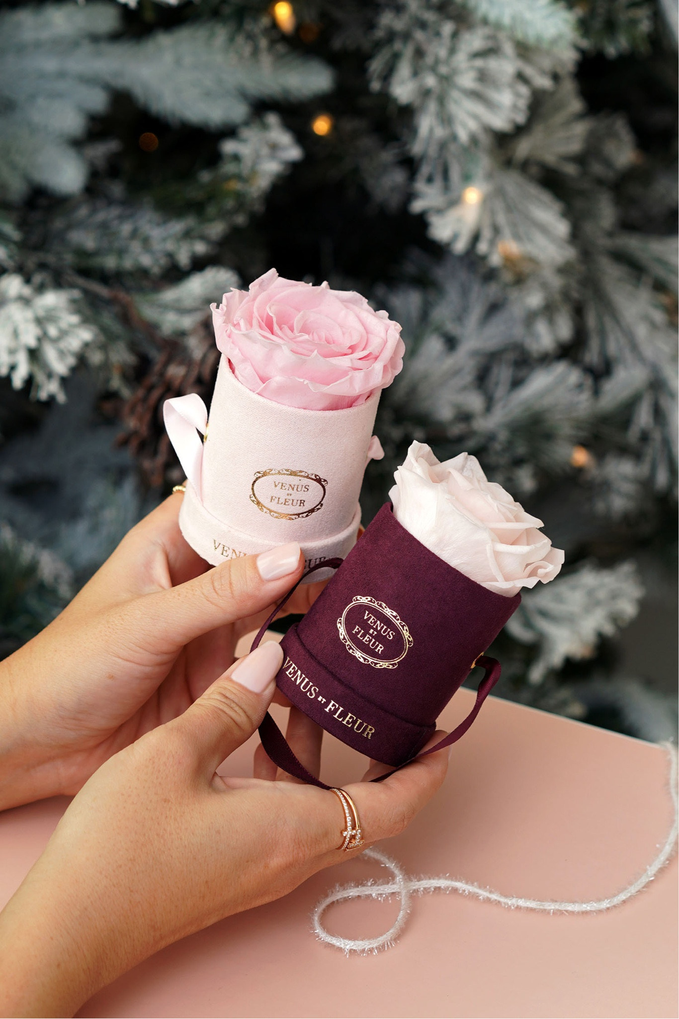Cute single preserved roses that last a full year and smell amazing, available at @nordstrom @nordstrombeauty

#nordstrom #nordstrombeauty

#LTKHoliday #LTKGiftGuide