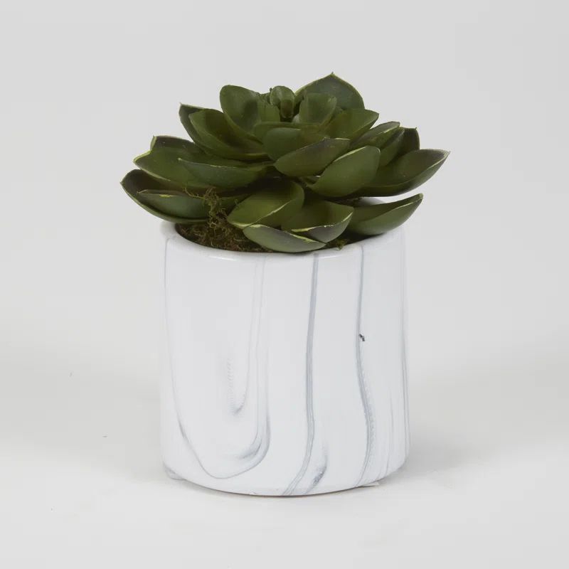5'' Faux Succulent Plant in Ceramic Planter | Wayfair North America