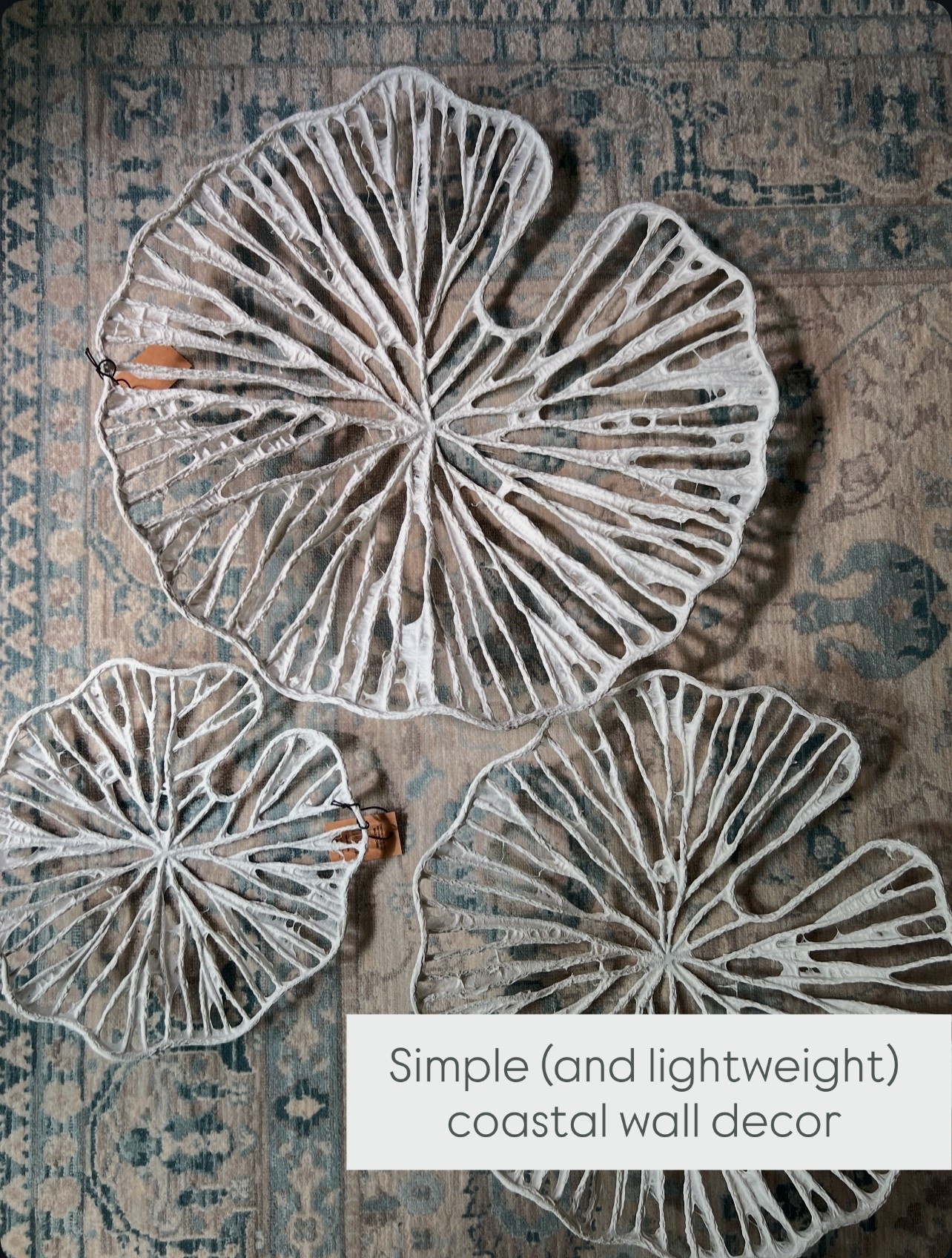This coastal wall decor makes my home feel fresh and bright. So easy to hang and looks so nice!
home decor, design tips, coastal style, wall decor, home refresh, beach vibes, simple design, affordable finds

#LTKFindsUnder50 #LTKSeasonal #LTKHome