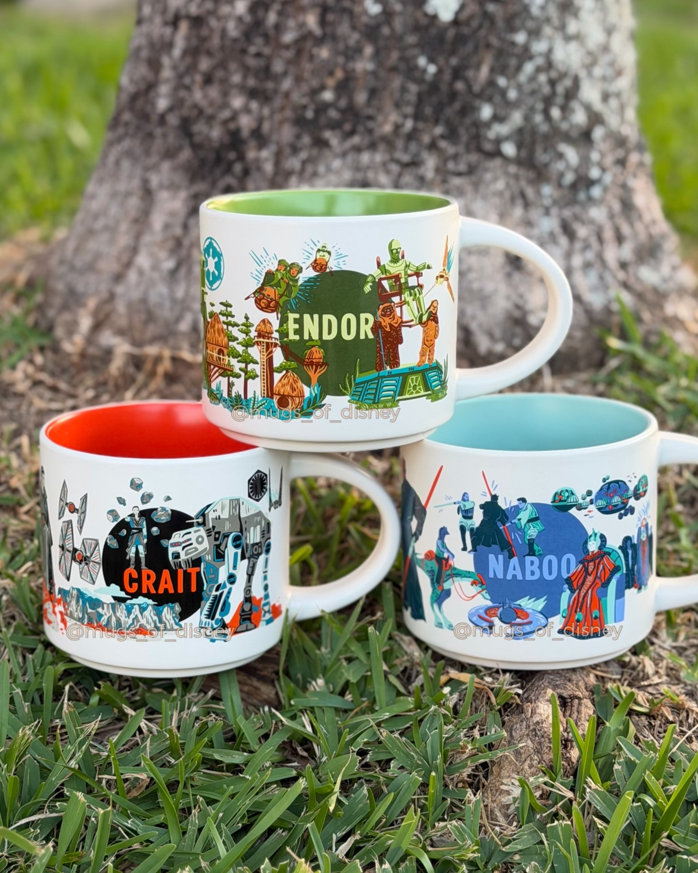 Here they are…Endor, Crait and Naboo! The Starbucks Star Wars Discovery Series mug set for 2026.💫
✨✨✨
#starwars #starbucksmug #disneystarbucks #endor