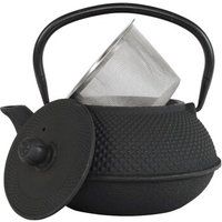 Arare 0.8 L Cast Iron Tea Pot | Wayfair UK