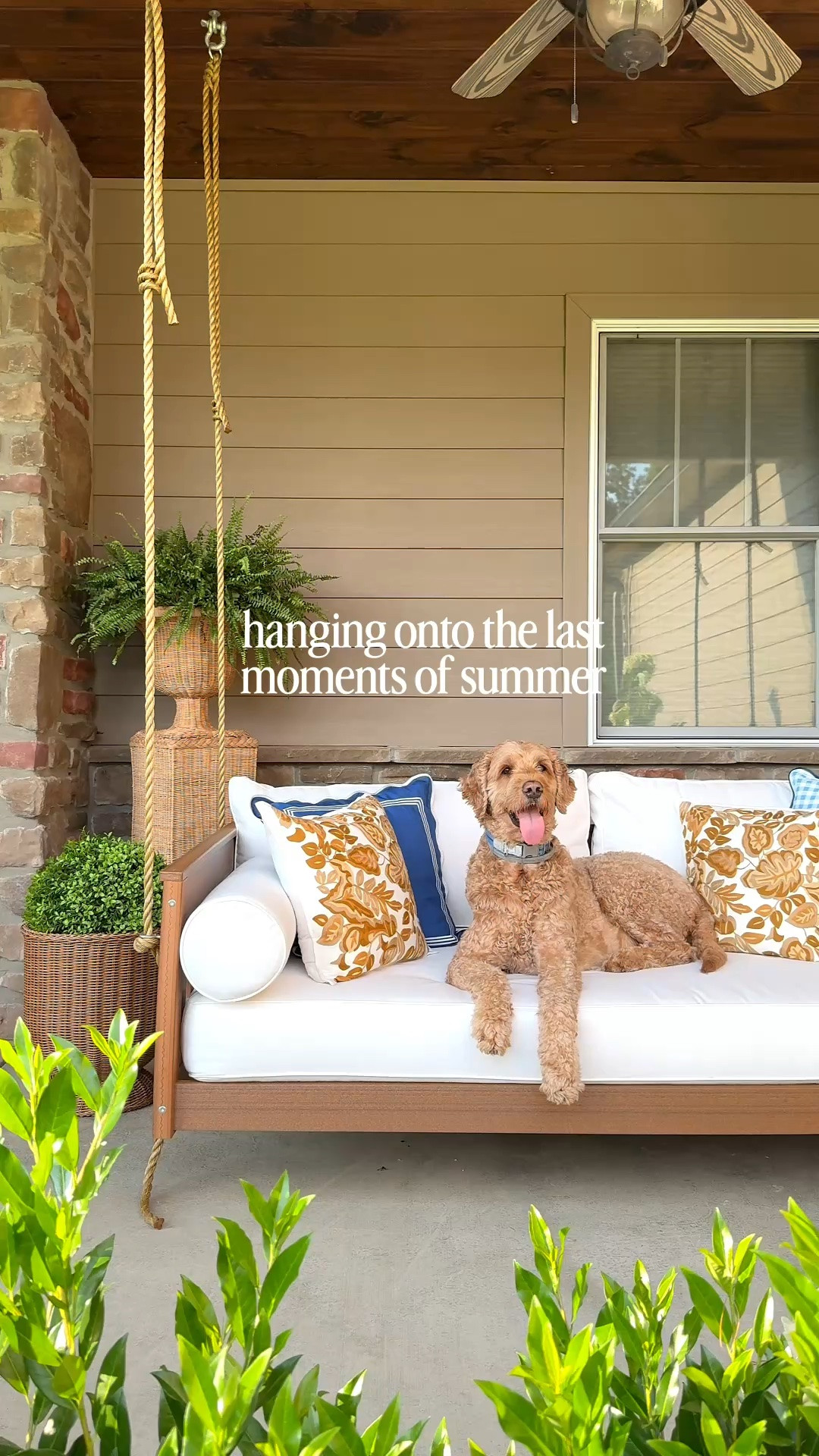 Enjoying the last moments of summer.

#LTKdayinmylife #LTKSeasonal #LTKHome