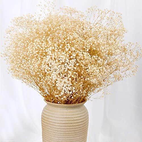 Dried Babys Breath Flowers Bouquet-17 Inch 1800+ Ivory White Dry Flowers, Natural Gypsophila Bran... | Amazon (US)