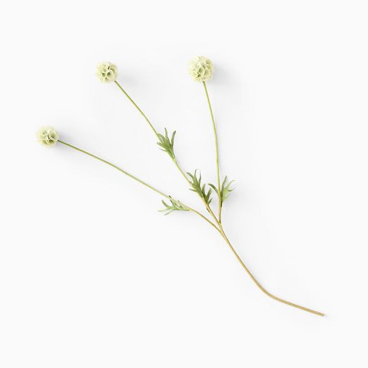 Faux Scabiosa Stem | West Elm (US)