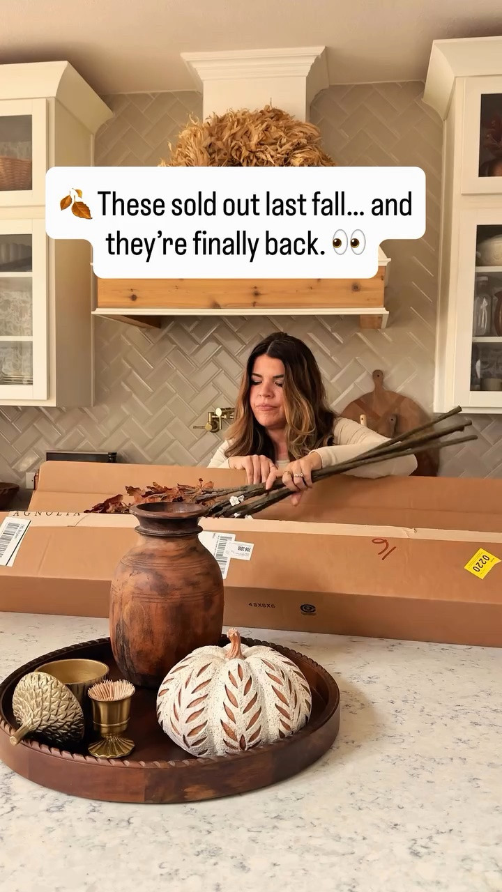 Comment FALL for the links. 🍂🤎

These are the fall stems everyone wanted last year… and they’re finally back. ✨

They’re one of those simple finds that instantly make your home feel cozy. Whether you’re styling a vase, kitchen island, entry table, or mantel, these look so much more expensive than they are.

If you’re decorating for fall this year, I’d grab them before they’re gone again. 🍂

🤎 Save this for decorating season.
🍁 Send it to your favorite fall-loving friend.