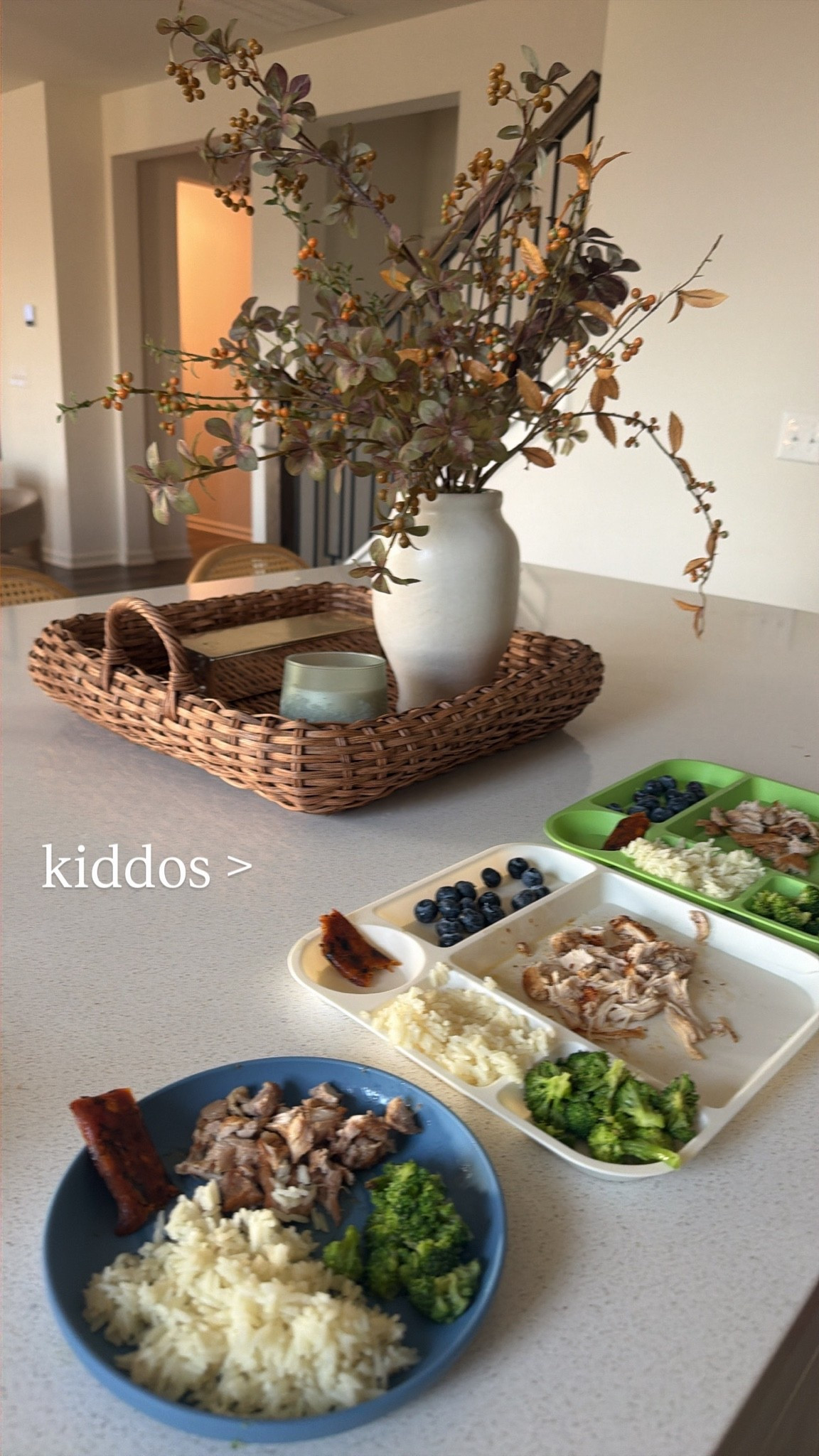 Kids played and my pre-fall home decor

#LTKmomlife #LTKSeasonal #LTKKids