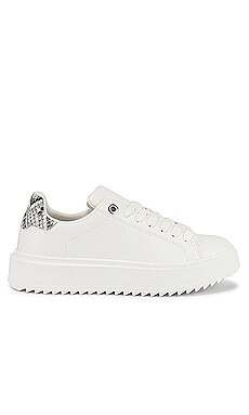 Steve Madden Catcher Sneaker in White Multi from Revolve.com | Revolve Clothing (Global)