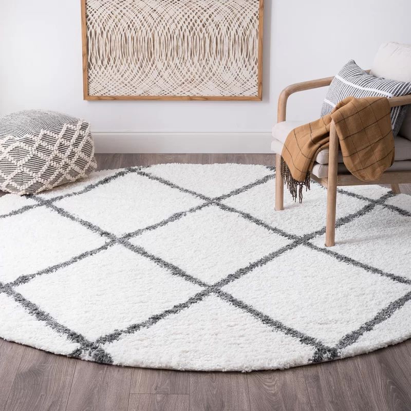 Audet Geometric Shag White Area Rug | Wayfair North America