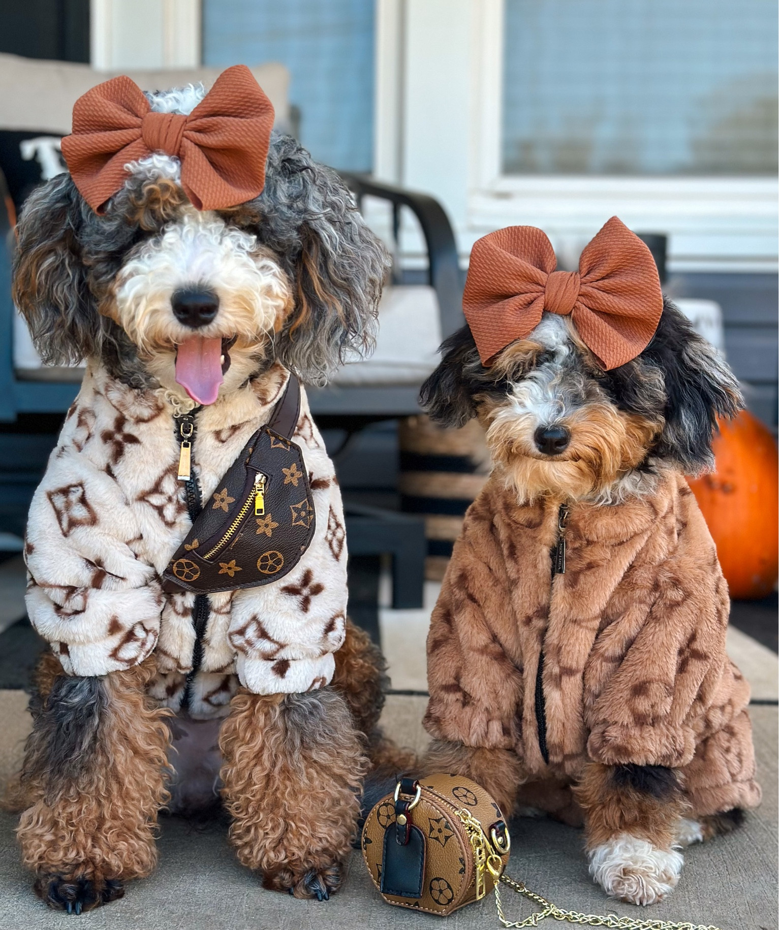 Babies of the family💕

We’re so beyond ready for sweater weather. I sweat while taking these🥵😅
Shop our jackets and purses at @shopthepawster and use our code DOODLES10 to save. 

Linked similar bows, tops and purses on our LTK. Link in bio💕

#LTKitbag #LTKfamily #LTKSeasonal