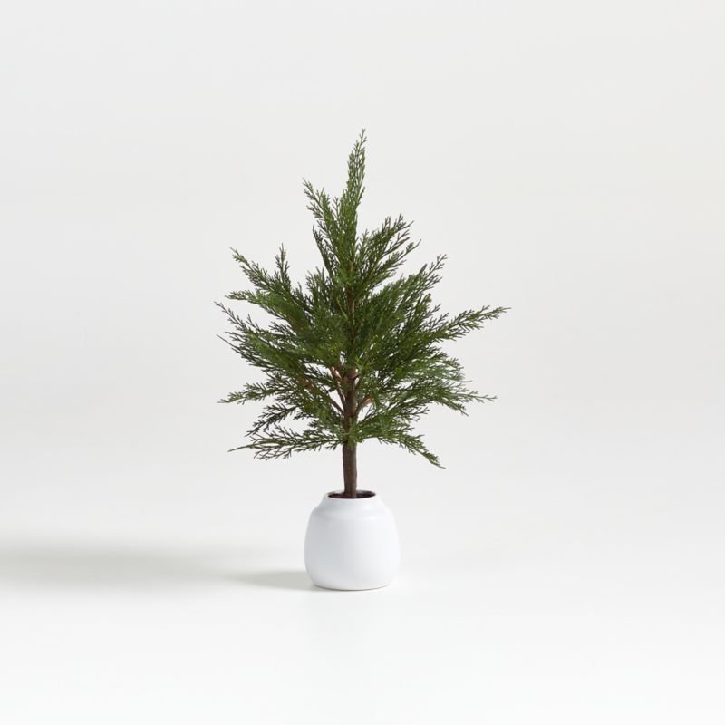 Faux Potted Cypress Tree 24" + Reviews | Crate and Barrel | Crate & Barrel