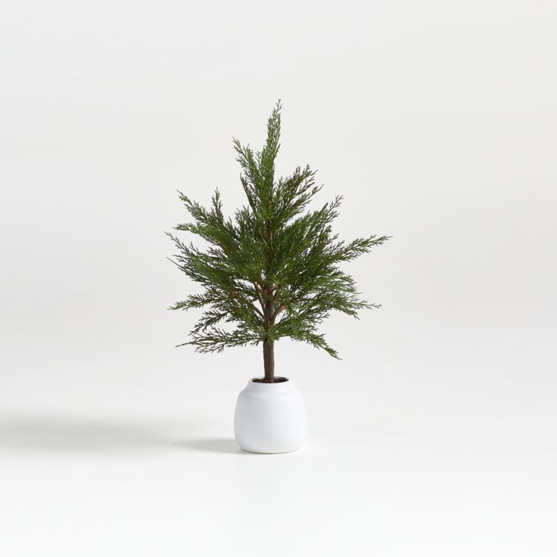 Faux Potted Cypress Tree 24" + Reviews | Crate & Barrel | Crate & Barrel