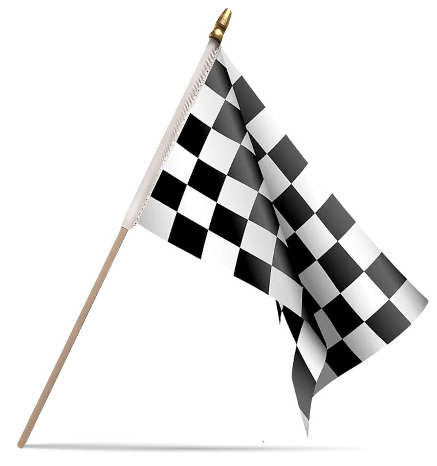 NJ & NJBW 20 Pack Small Mini Black and White Checkered Flag on Wooden Stick - 5 x 8inch Racing Mi... | Amazon (US)