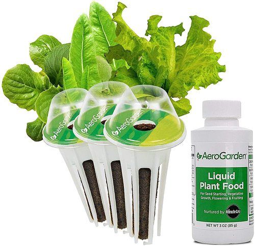 AeroGarden - Heirloom Salad Greens (3-Pod) - Green | Best Buy U.S.