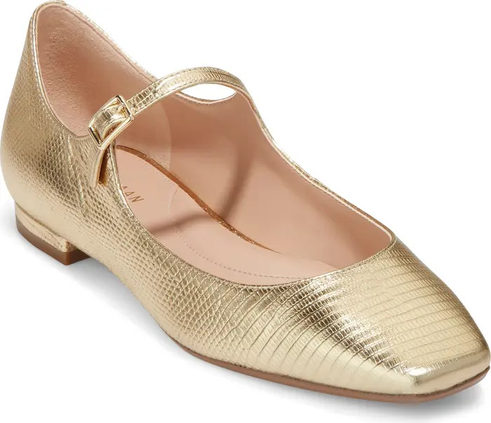 Cole Haan Bridge Mary Jane Ballet Flat (Women) | Nordstrom | Nordstrom