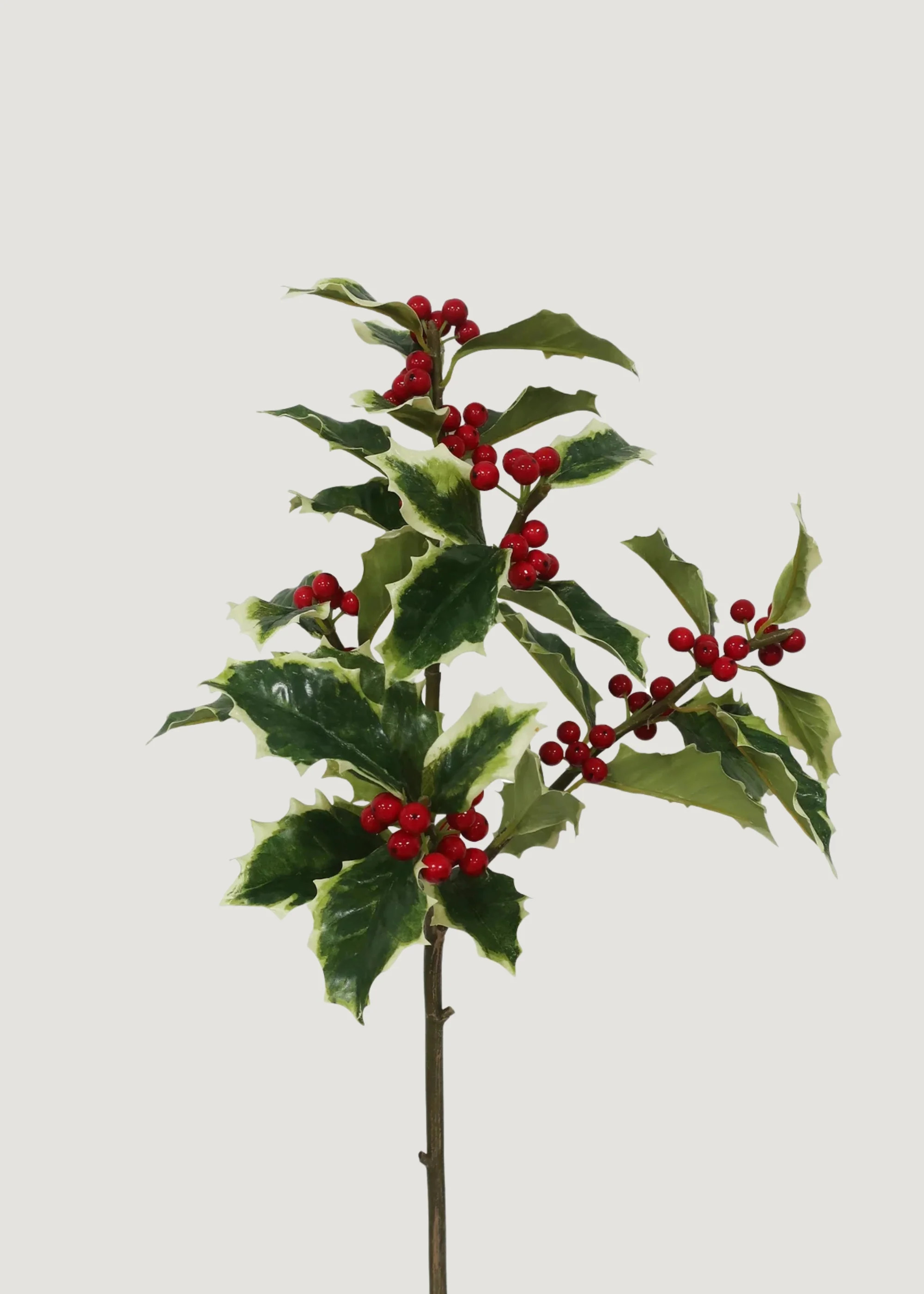 Faux Holly Branch | Artificial Winter Branches | Afloral | Afloral