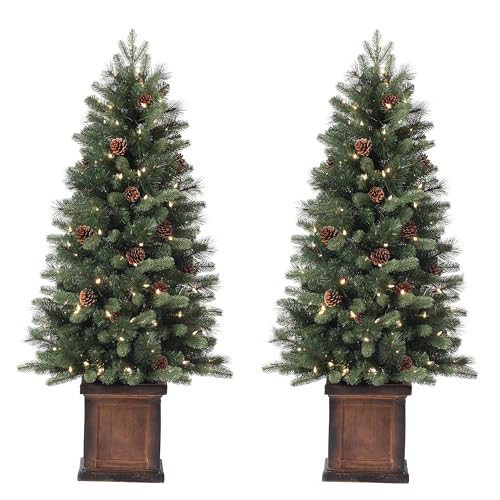 Haute Decor Set of 2 Porch Christmas Trees - Brookdale PE Fir Potted Christmas Trees for Outdoors or Indoors - 3 Different Light Settings | Amazon (US)