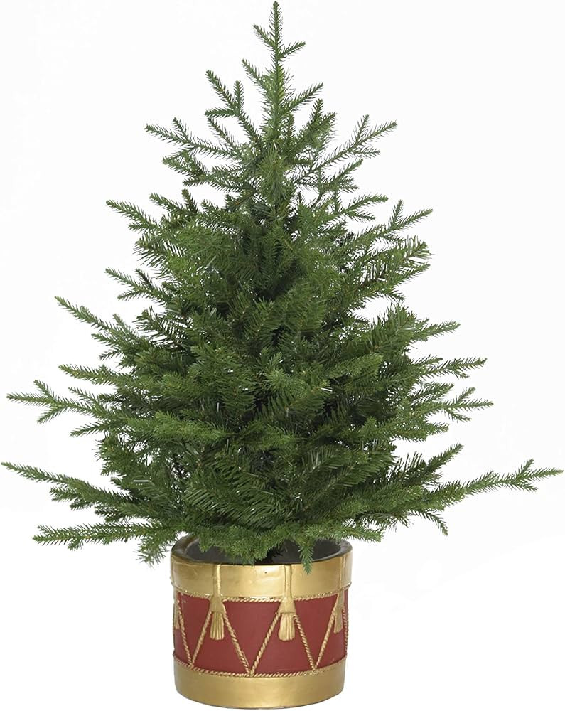 Fraser Hill Farm 3-Ft. Potted Andriondack without Lights | Amazon (US)