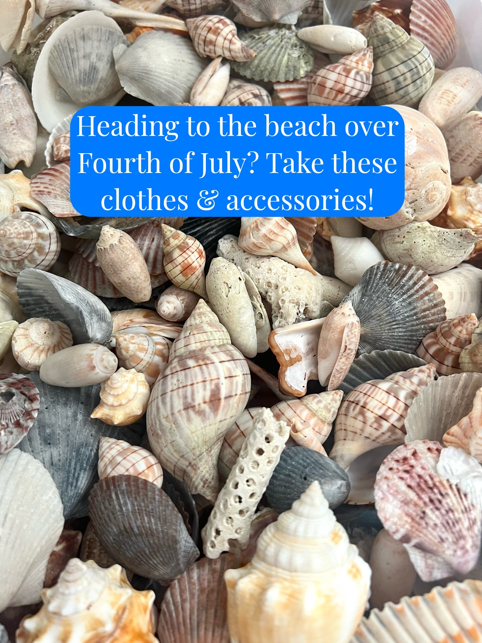Heading to the beach over Fourth of July? Take these clothes and accessories with you!

#LTKSeasonal #LTKOver40 #LTKSaleAlert #LTKTravel #LTKgrwm #LTKootd #LTKMidsize #LTKSwim
