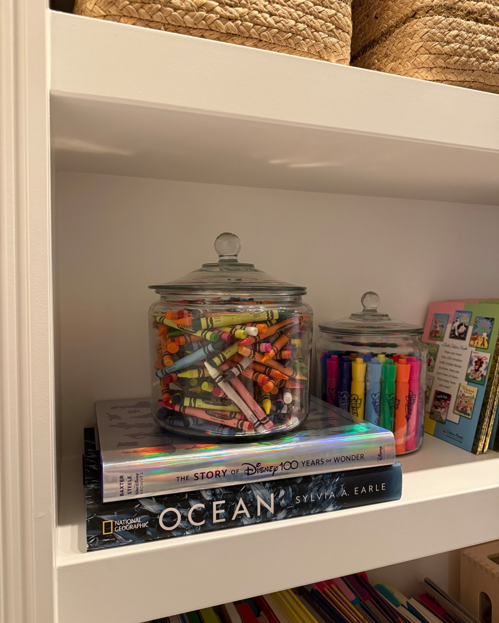 These Amazon decor books sit right next to the crayons and markers… proof that style and kid life can coexist.
#AmazonHome #DecorBooks #PlayroomStyling #ShelfStylingIdeas #KidFriendlyDecor

#LTKKids #LTKFamily #LTKHome