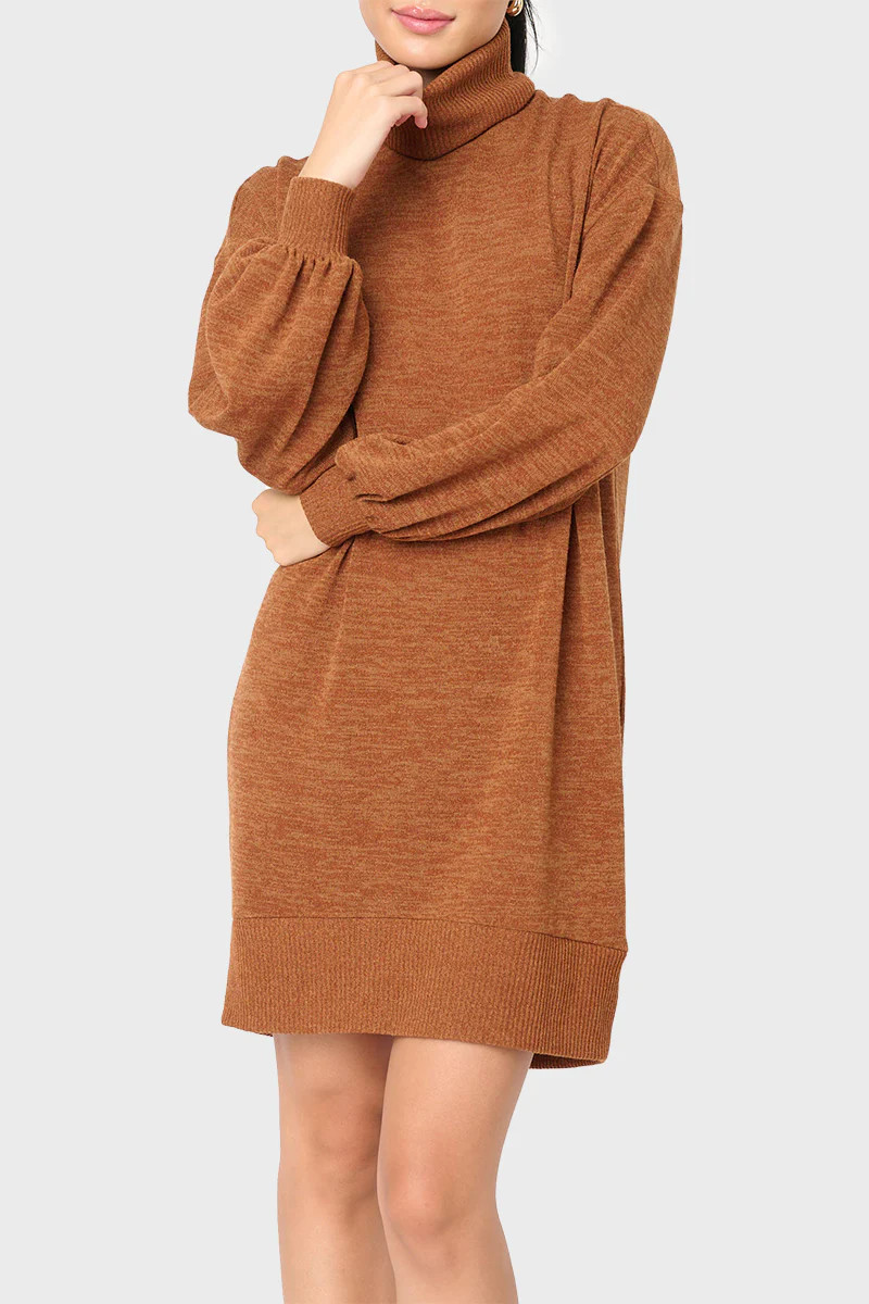 Blouson Sleeve Turtleneck Sweater Dress | Gibson