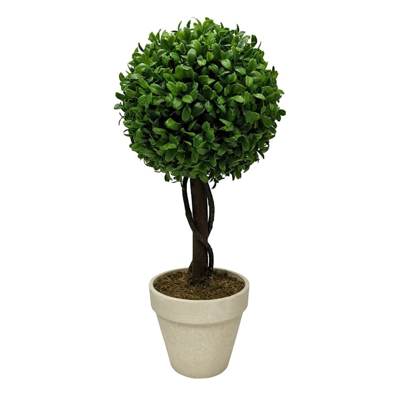 Boxwood Ball Topiary Plant in White Planter, 17" | At Home
