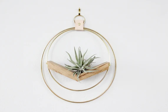 V-Hanger (Large) - Air Plant Hanger, Plant Hanger, Wall Decor, Plant Holder, Gold Decor | Etsy (US)