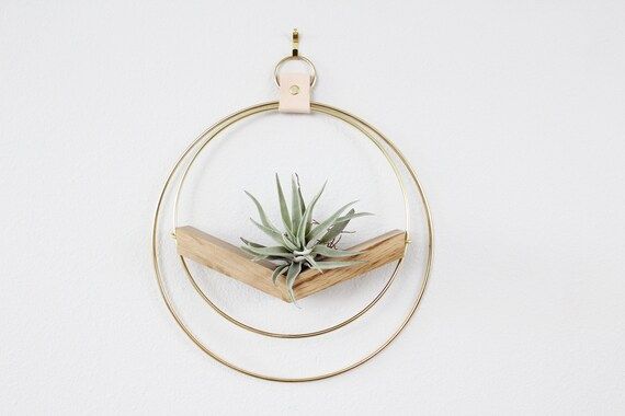 V-Hanger (Large) - Air Plant Hanger, Plant Hanger, Wall Decor, Plant Holder, Gold Decor | Etsy (US)