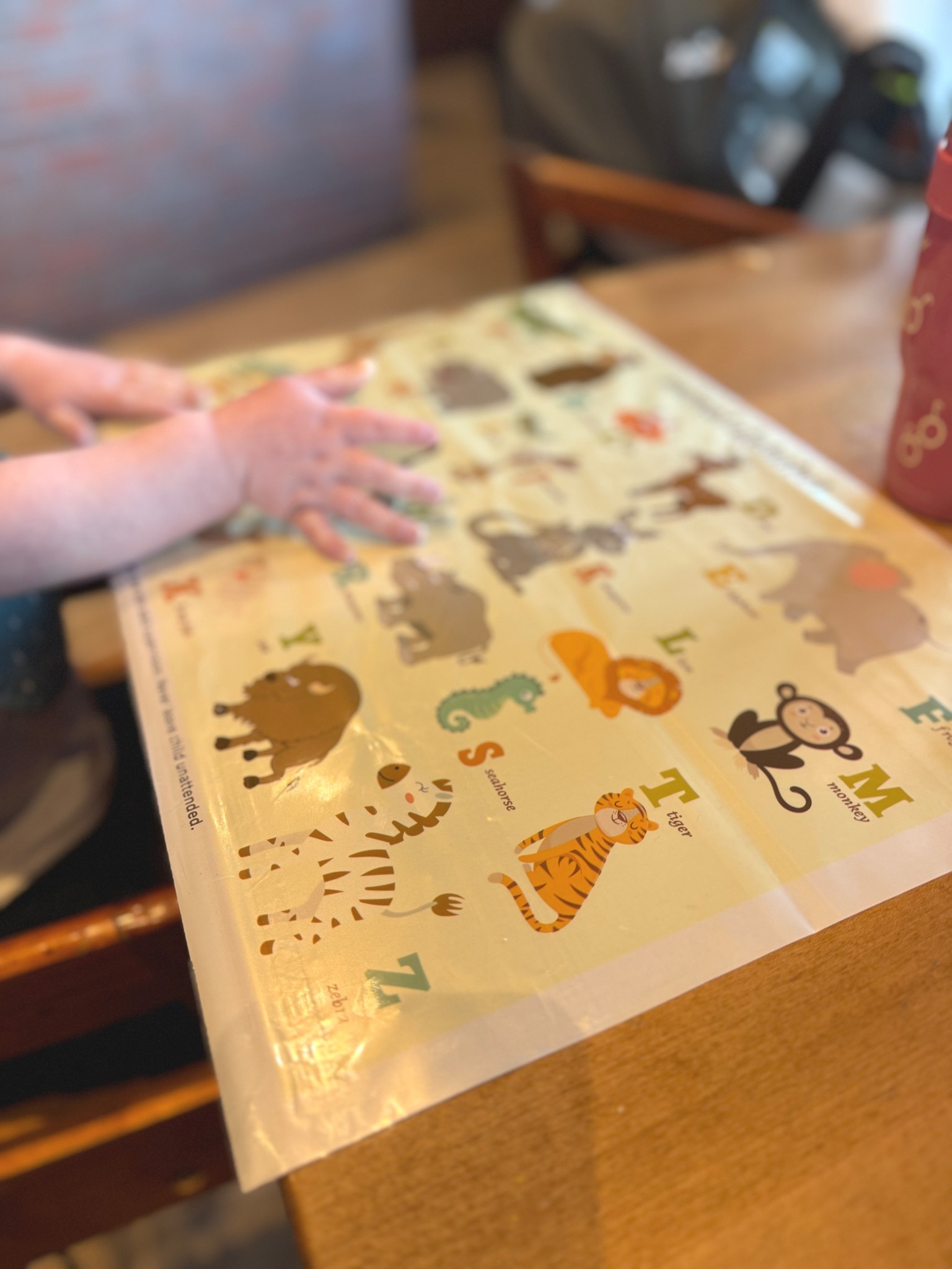 Disposable placemats for going out to eat with my toddler! I absolutely love these!!

#LTKTravel #LTKBaby #LTKKids
