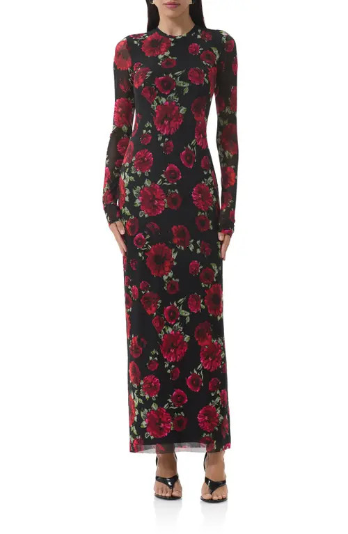 AFRM Didi Printed Long Sleeve Mesh Maxi Dress in Painted Roses at Nordstrom, Size Medium | Nordstrom