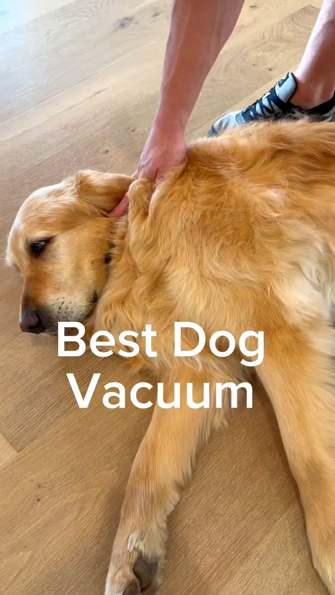 There are two dog vacs we really like.. either works!!