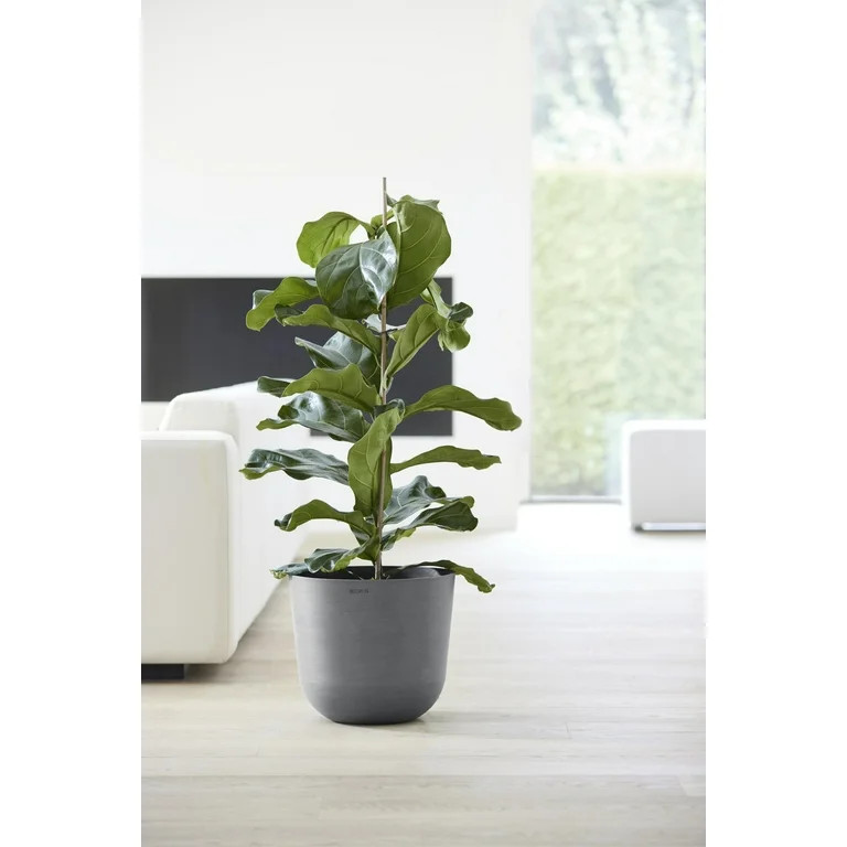 Ecopots Oslo Indoor/Outdoor Modern Recycled Plastic Flower Pot Planter, Grey, 14" | Walmart (US)