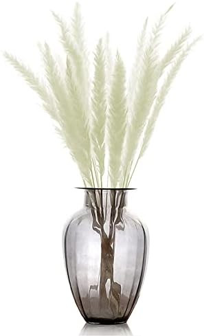 YYS Pampas Grass 30 Pcs ,Fluffy Dried Pampas Grass Branches for Vase Flower Arrangement Wedding K... | Amazon (US)