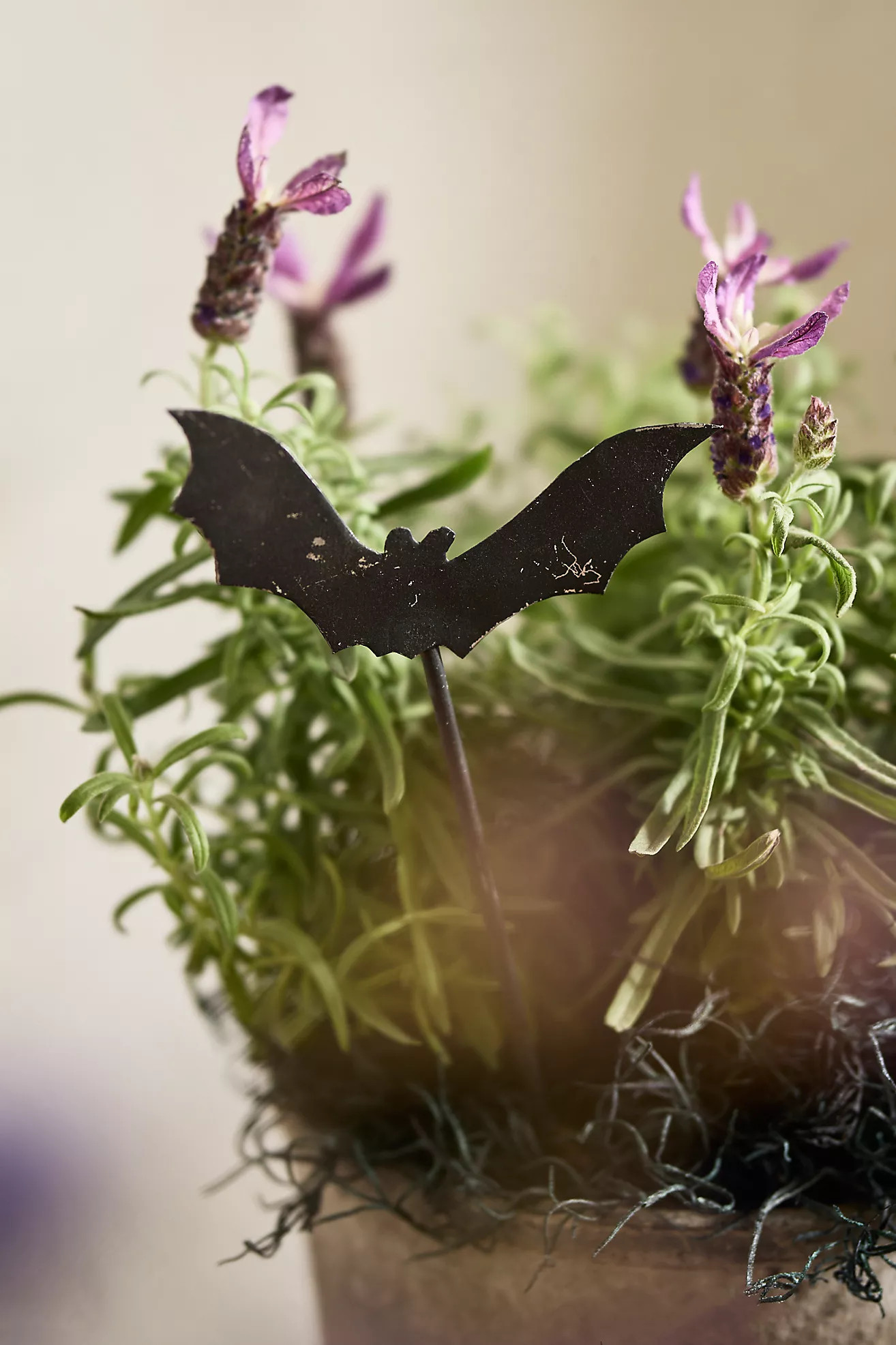 Miniature Bat Iron Stake | Anthropologie (US)