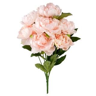 Coral Peony Bush by Ashland® | Floral Bushes | Michaels | Michaels Stores