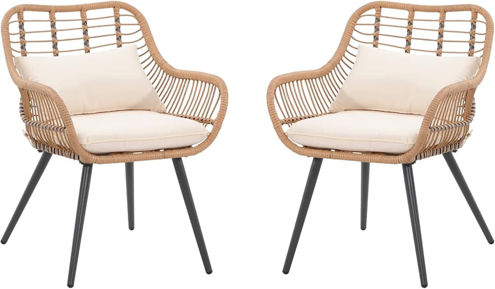 Verano Garden Set of 2 Patio Dining Chairs, Outdoor Wicker Seating Set with Soft Cushion for Indo... | Amazon (US)