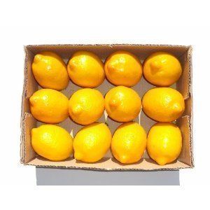 Artificial Lemon - 12 pieces, 90mm | Amazon (US)