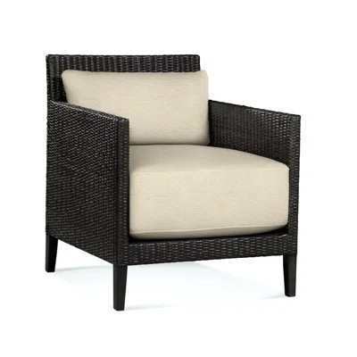 Beryl 26 inches W Armchair | Wayfair North America