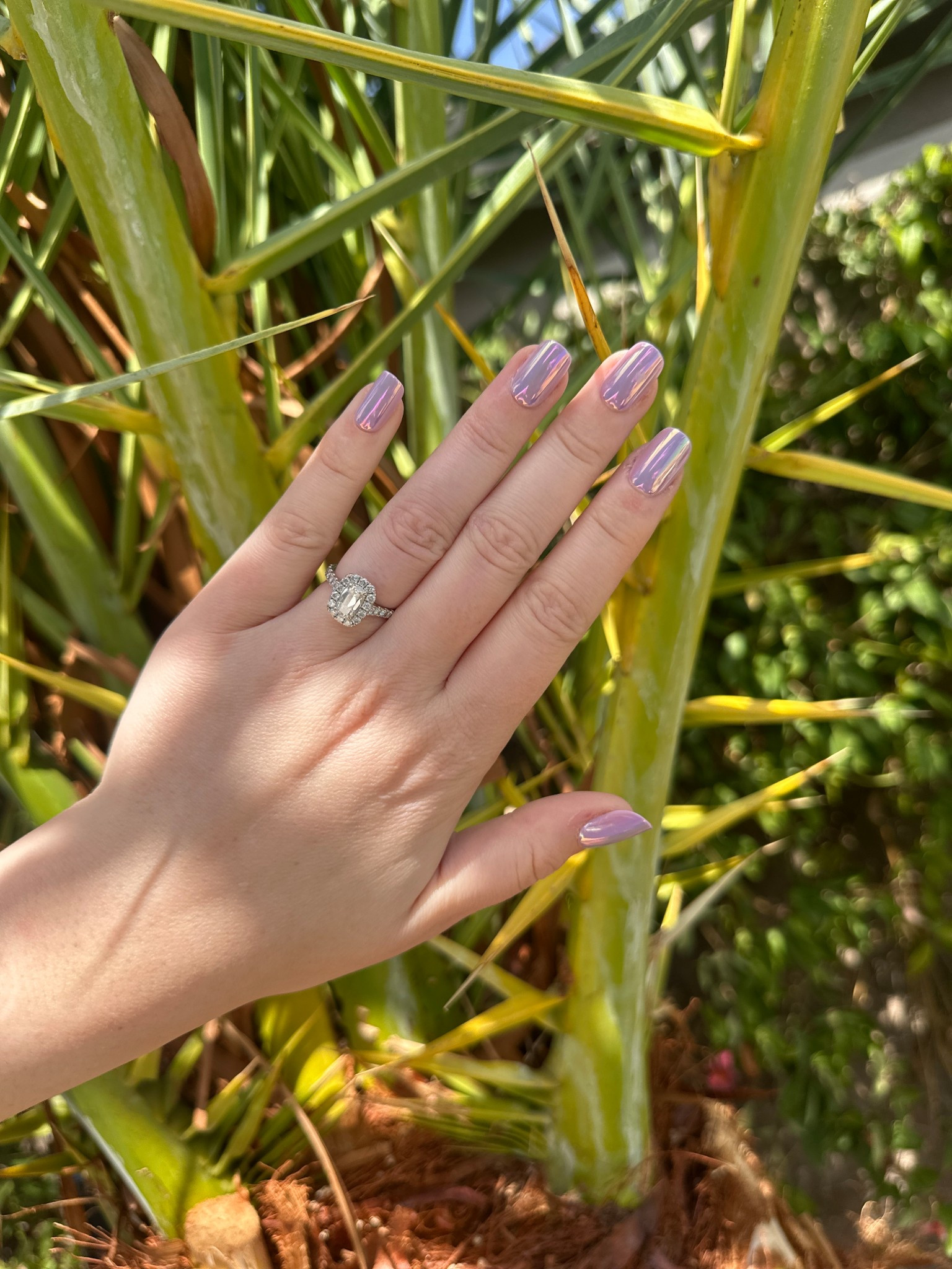 Purple Chrome 💜

#LTKBeauty #LTKStyleTip #LTKFindsUnder50