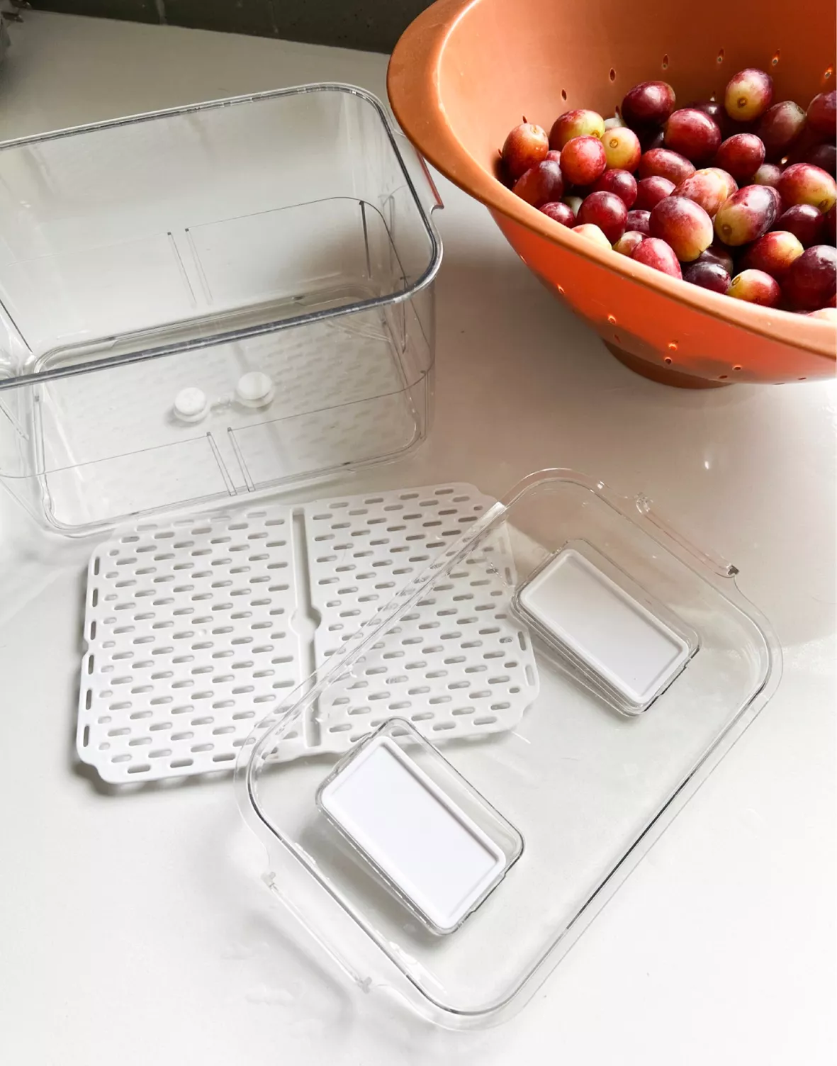 Plastic Food Fresh Keeper Storage Containers Fruit Vegetable