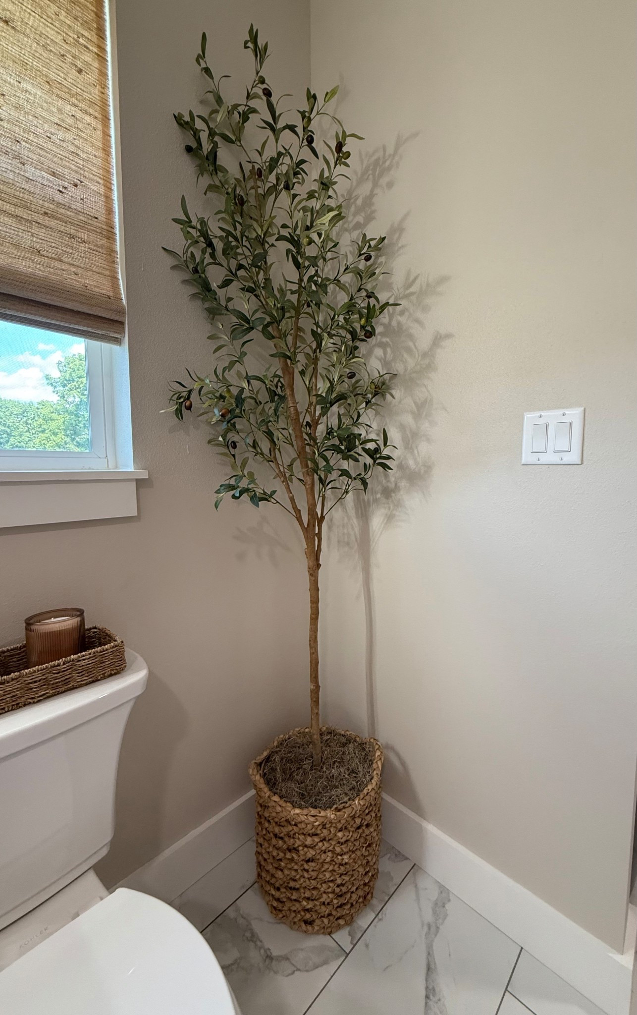 Olive tree decor 


#LTKHome #LTKFindsUnder50