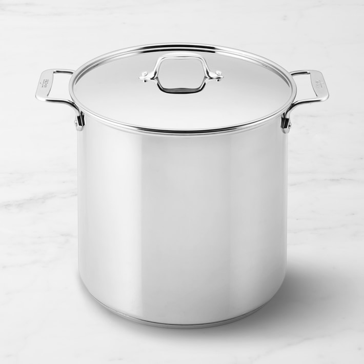 All-Clad Stainless-Steel Gourmet Accessories Stock Pot, 16-Qt. | Williams-Sonoma