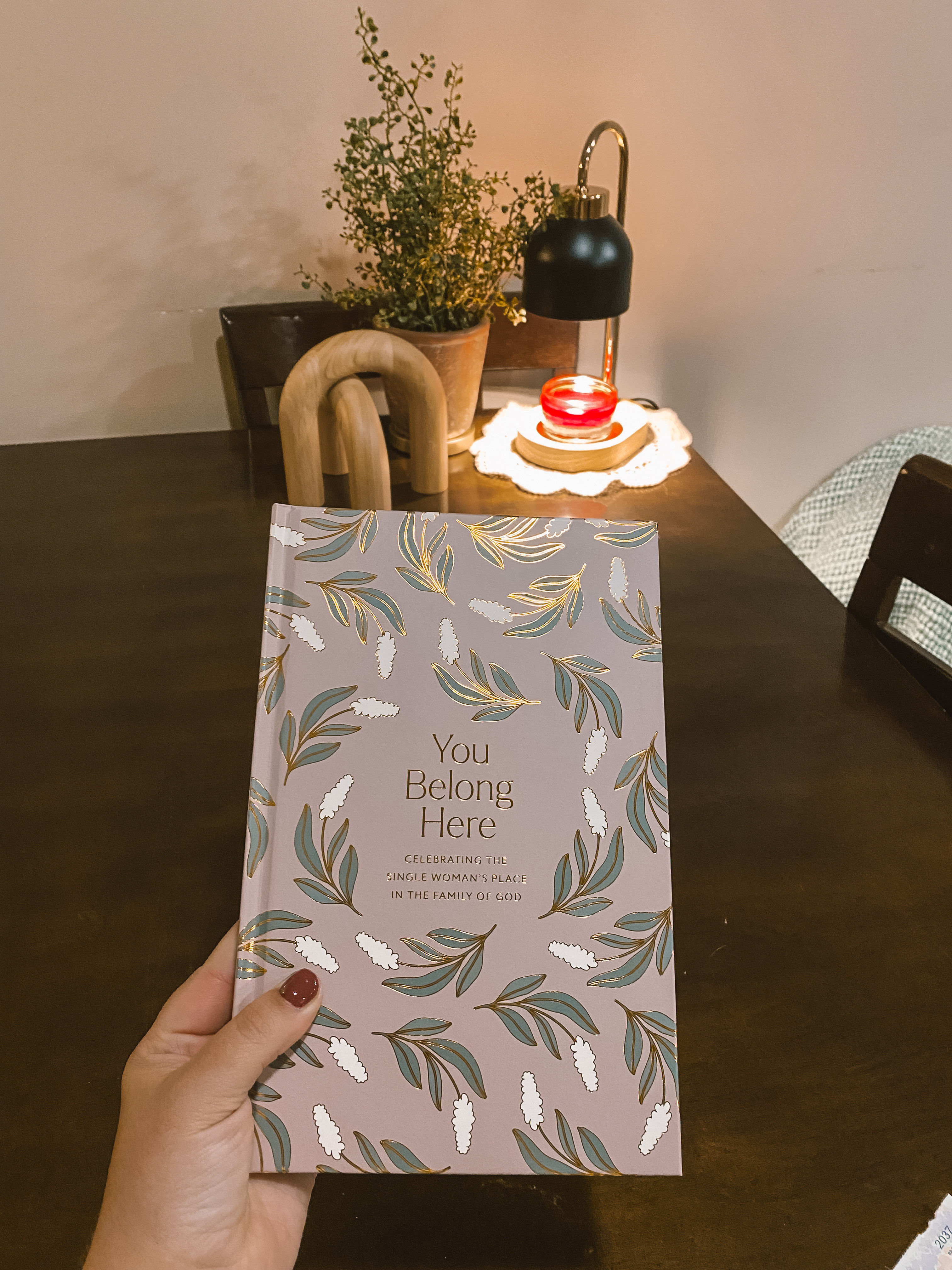 You Belong Here! The first book by Daily Grace Co is out! It is for single women & it is lovely! It's currently on sale too! use code ALLIRICE10 to get 10% off your entire first order with Daily Grace Co! 

 #LTKHome #LTKSaleAlert #LTKFindsUnder50