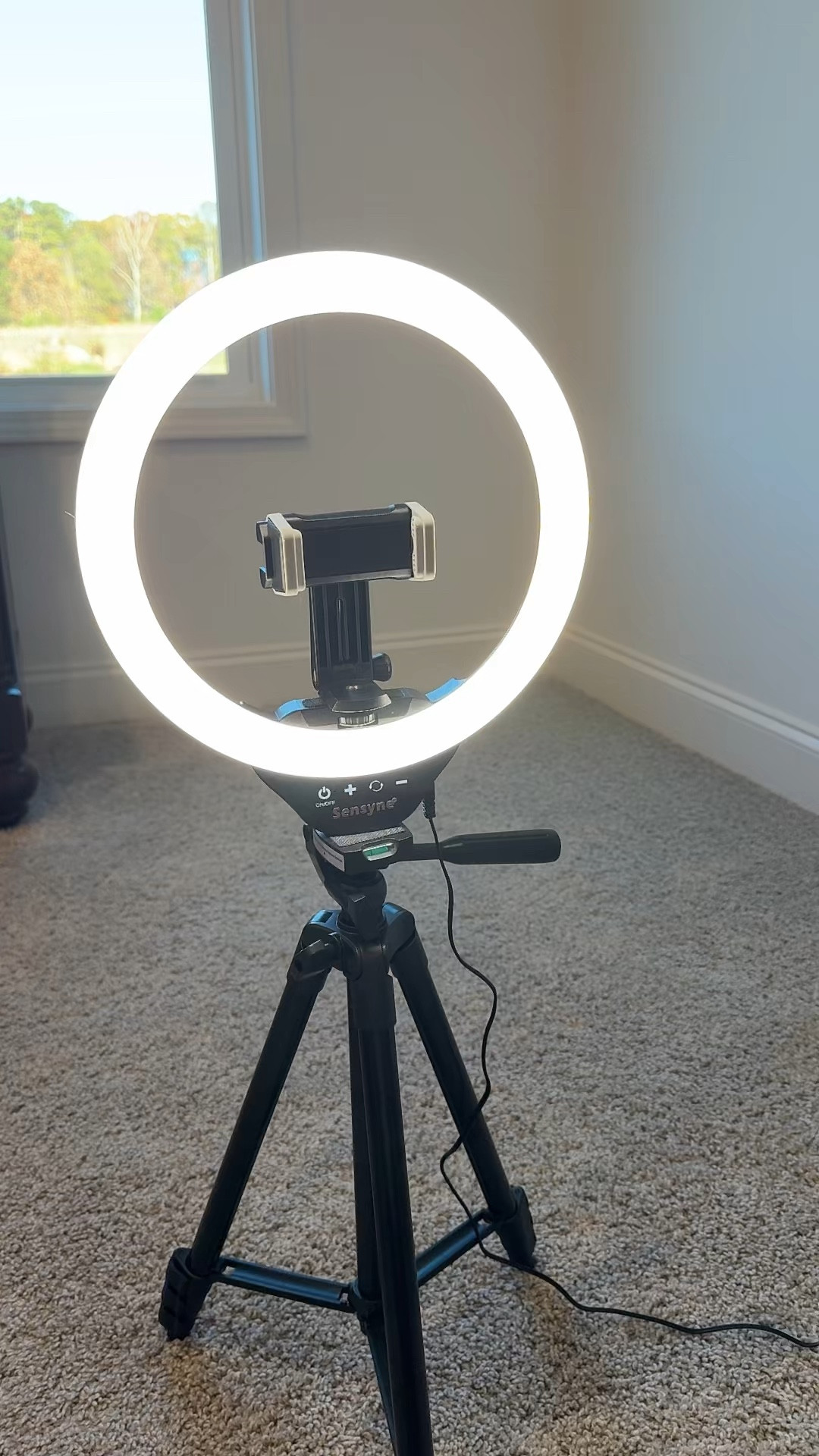 The best ring light that is adjustable in height and changes colors and hues. 
#ringlight #giftguide

#LTKWatchNow #LTKGiftGuide #LTKHoliday