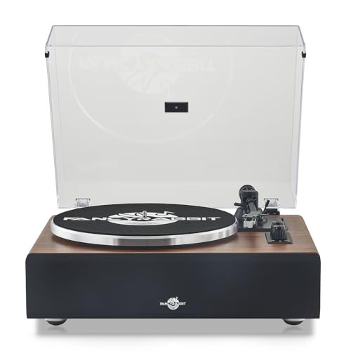 Record Player with Speaker, Vinyl Record Turntable with Magnetic Cartridge for Home Decoration and Entertainment, Vinyl Record Player Suitable for Christmas or Birthday Gift (H2410-Rosewood) | Amazon (US)