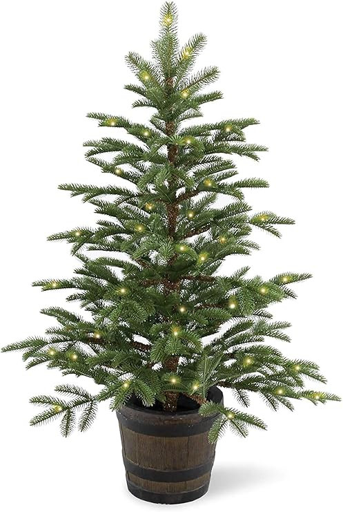 National Tree Company 'Feel Real' Pre-lit Artificial Tree For Entrances and Christmas | Includes ... | Amazon (US)