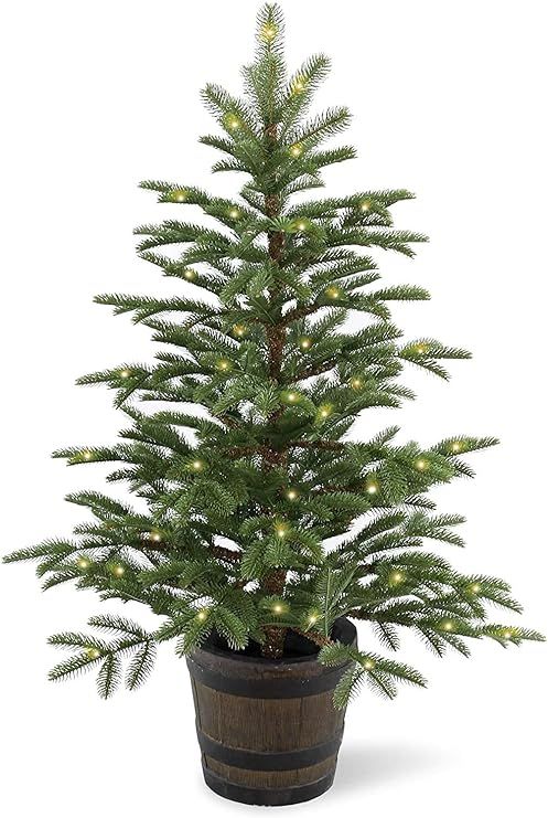 National Tree Company 'Feel Real' Pre-lit Artificial Tree For Entrances and Christmas | Includes ... | Amazon (US)