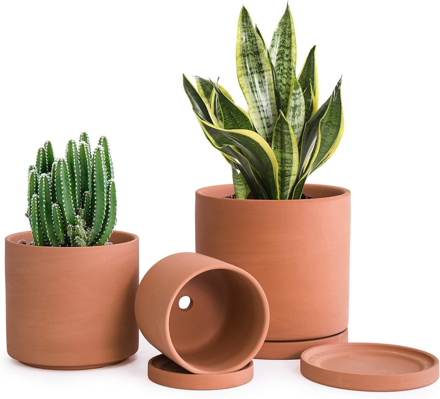 Terracotta Pots for Plants, 4.2 Inch 5.3 Inch 6.5 Inch, Succulent Planter Pot with Drainage and S... | Amazon (US)