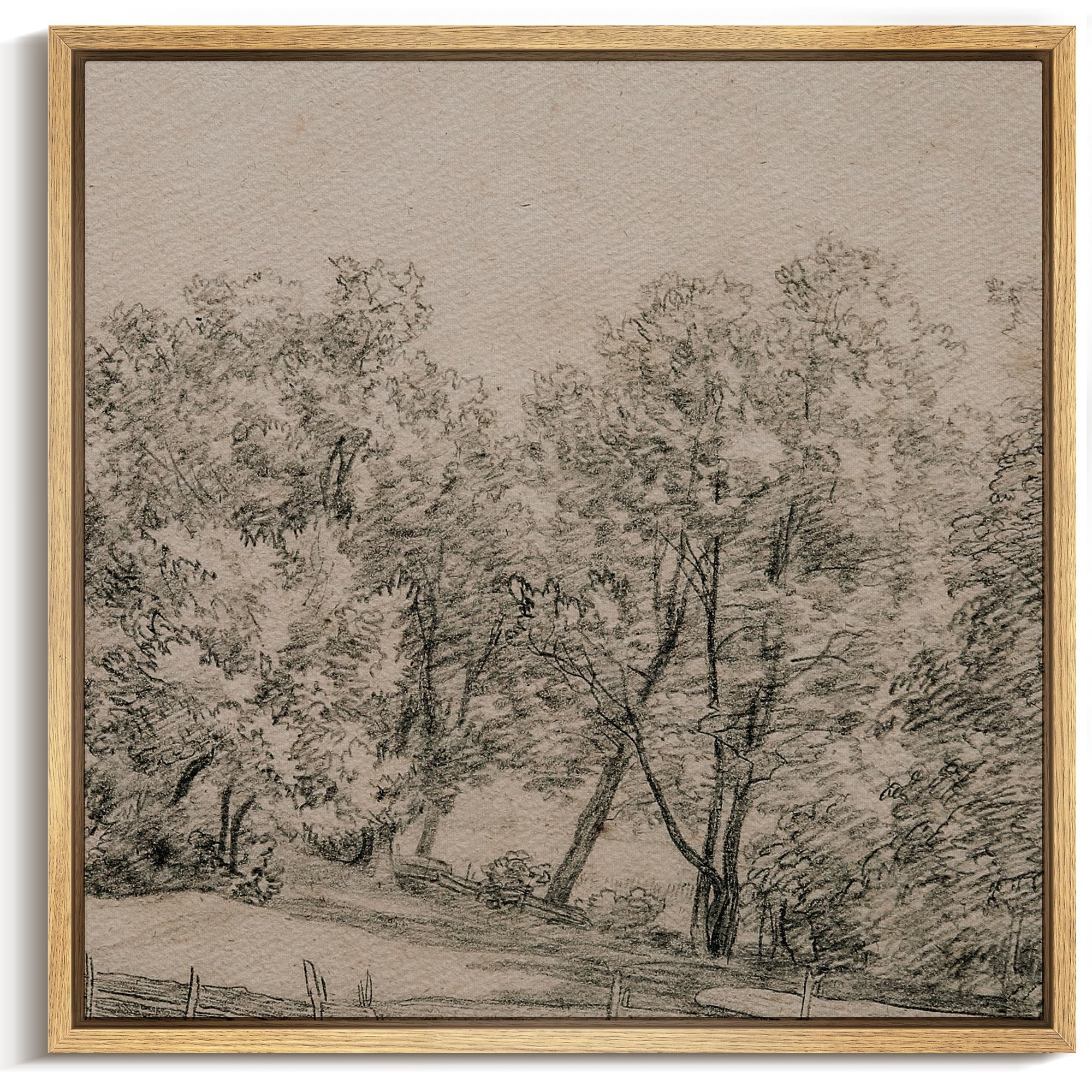 MUDECOR Framed Canvas Print Wall Art Vintage Rustic Forest Sketch - Vintage Drawing Illustrations... | Amazon (US)