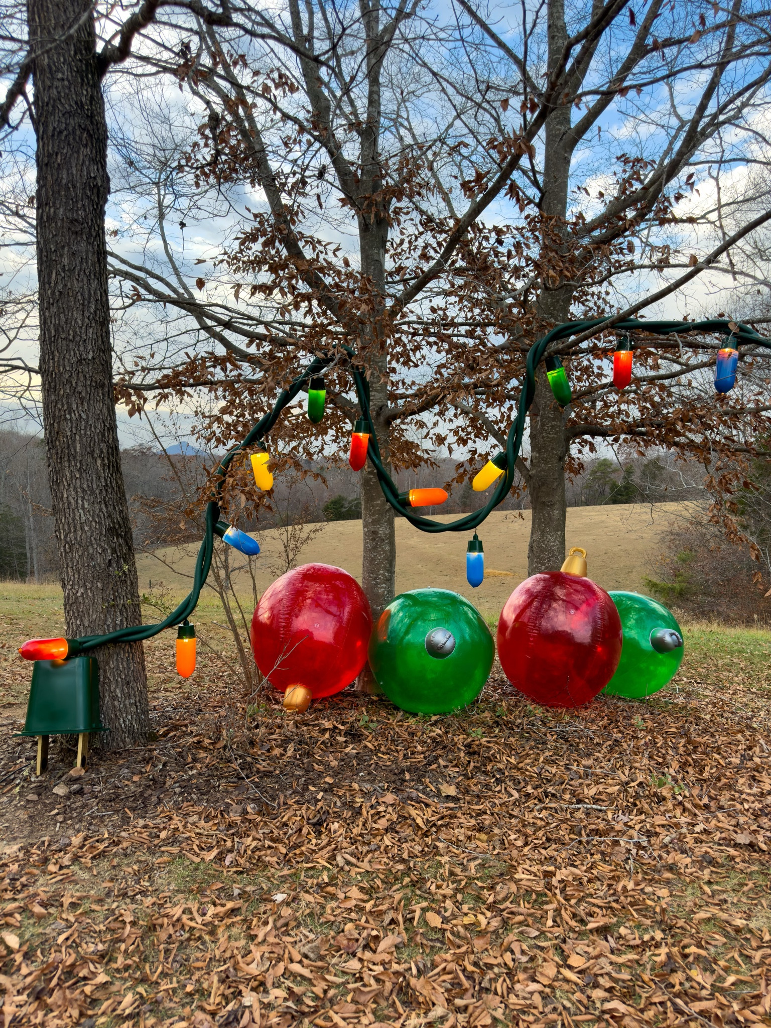 DIY giant string lights!! 🤩🤩🤩

#LTKhome #LTKHoliday #LTKSeasonal