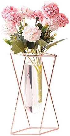 Aoderun Glass Flower Vase with Metal Stand Modern Geometry Desktop Glass Planter Indoor Hydroponi... | Amazon (US)